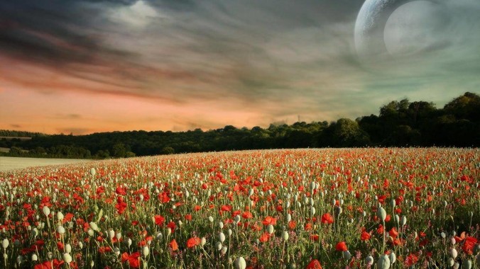 导师给了1.4W要我给工作室买个主机，是整机还是自己配？